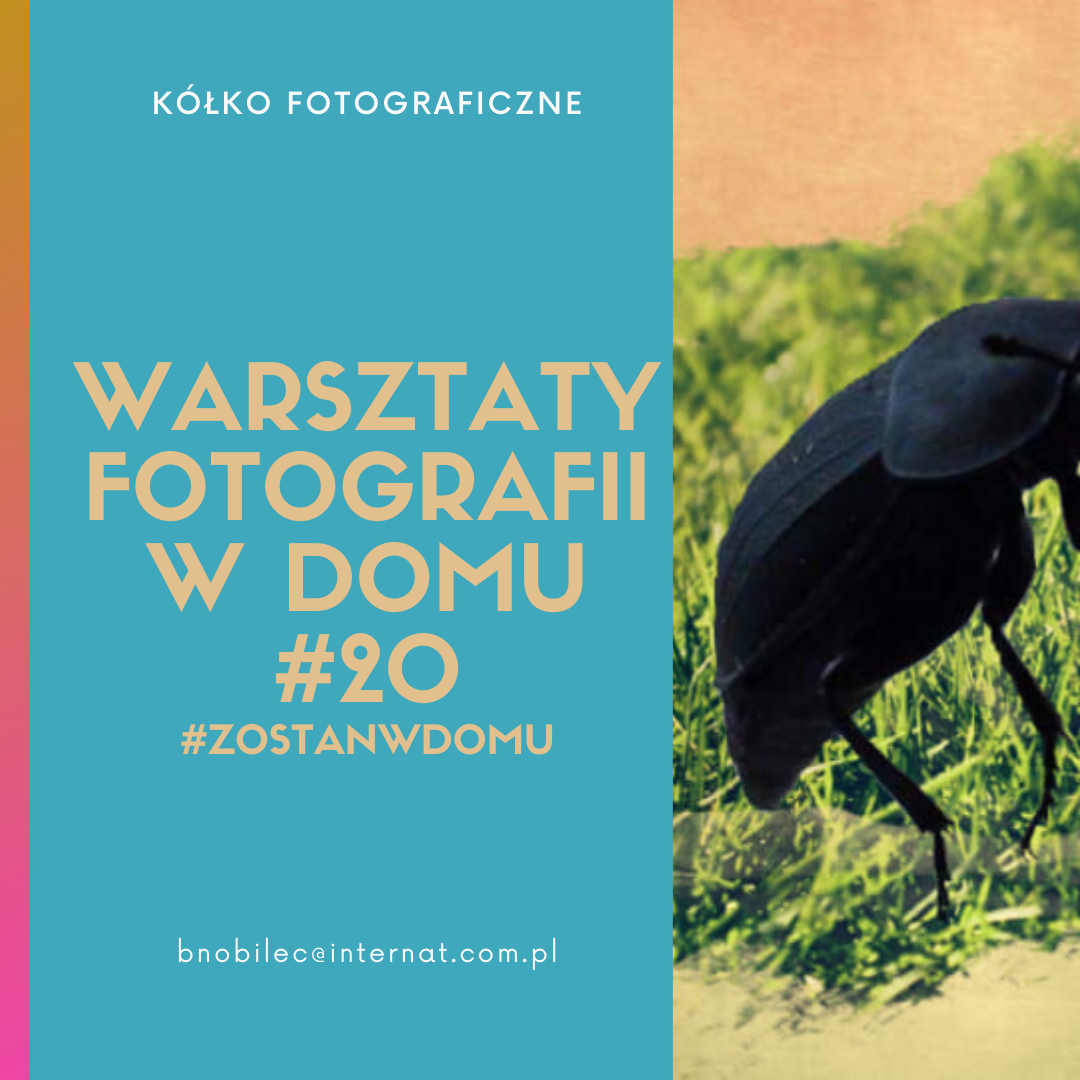 DOSKONALIMY W DOMU SWÓJ WARSZTAT FOTOGRAFICZNY #20